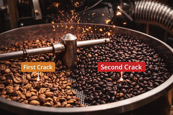 First Crack & Second Crack Biji Kopi